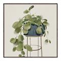 Picture of Plant in Black Pot II _GroupedProduct_Square_Canvas_Framed_