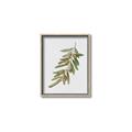 Picture of Olive Branch _GroupedProduct_Rectangle_Portrait_Canvas_Framed_