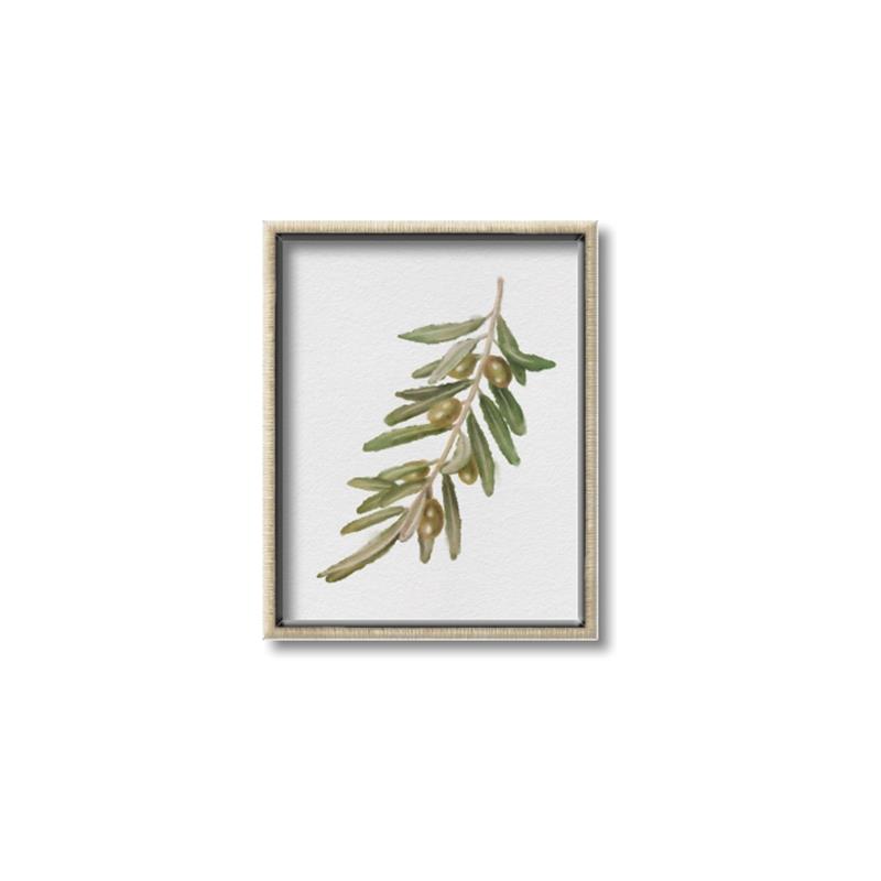 Picture of Olive Branch _GroupedProduct_Rectangle_Portrait_Canvas_Framed_