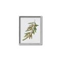 Picture of Olive Branch _GroupedProduct_Rectangle_Portrait_Canvas_Framed_