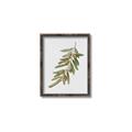 Picture of Olive Branch _GroupedProduct_Rectangle_Portrait_Canvas_Framed_