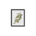 Picture of Olive Branch _GroupedProduct_Rectangle_Portrait_Canvas_Framed_