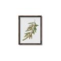 Picture of Olive Branch _GroupedProduct_Rectangle_Portrait_Canvas_Framed_