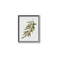 Picture of Olive Branch _GroupedProduct_Rectangle_Portrait_Canvas_Framed_