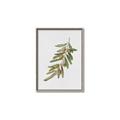 Picture of Olive Branch _GroupedProduct_Rectangle_Portrait_Canvas_Framed_