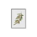 Picture of Olive Branch _GroupedProduct_Rectangle_Portrait_Canvas_Framed_