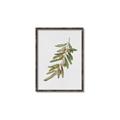 Picture of Olive Branch _GroupedProduct_Rectangle_Portrait_Canvas_Framed_