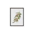 Picture of Olive Branch _GroupedProduct_Rectangle_Portrait_Canvas_Framed_
