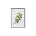 Picture of Olive Branch _GroupedProduct_Rectangle_Portrait_Canvas_Framed_