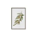 Picture of Olive Branch _GroupedProduct_Rectangle_Portrait_Canvas_Framed_