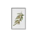 Picture of Olive Branch _GroupedProduct_Rectangle_Portrait_Canvas_Framed_