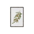 Picture of Olive Branch _GroupedProduct_Rectangle_Portrait_Canvas_Framed_