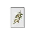 Picture of Olive Branch _GroupedProduct_Rectangle_Portrait_Canvas_Framed_