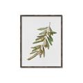 Picture of Olive Branch _GroupedProduct_Rectangle_Portrait_Canvas_Framed_