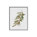 Picture of Olive Branch _GroupedProduct_Rectangle_Portrait_Canvas_Framed_