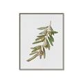 Picture of Olive Branch _GroupedProduct_Rectangle_Portrait_Canvas_Framed_