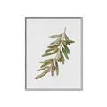 Picture of Olive Branch _GroupedProduct_Rectangle_Portrait_Canvas_Framed_