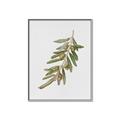 Picture of Olive Branch _GroupedProduct_Rectangle_Portrait_Canvas_Framed_