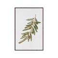Picture of Olive Branch _GroupedProduct_Rectangle_Portrait_Canvas_Framed_