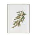 Picture of Olive Branch _GroupedProduct_Rectangle_Portrait_Canvas_Framed_