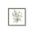 Picture of Botanical Burst I _GroupedProduct_Square_Canvas_Framed_