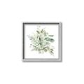 Picture of Botanical Burst II _GroupedProduct_Square_Canvas_Framed_