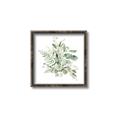 Picture of Botanical Burst II _GroupedProduct_Square_Canvas_Framed_