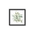 Picture of Botanical Burst II _GroupedProduct_Square_Canvas_Framed_
