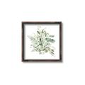 Picture of Botanical Burst II _GroupedProduct_Square_Canvas_Framed_