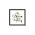 Picture of Botanical Burst II _GroupedProduct_Square_Canvas_Framed_
