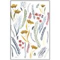 Picture of Ferns & Florals I _GroupedProduct_Rectangle_Portrait_Canvas_Framed_