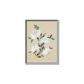 Picture of White Whisps II _GroupedProduct_Rectangle_Portrait_Canvas_Framed_