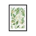 Picture of Watercolor Greens II _GroupedProduct_Rectangle_Portrait_Framed_Matted_