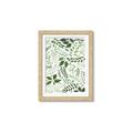 Picture of Watercolor Ferns II _GroupedProduct_Rectangle_Portrait_Framed_Matted_