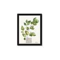 Picture of Golden Greens I _GroupedProduct_Rectangle_Portrait_Framed_Matted_