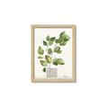 Picture of Golden Greens I _GroupedProduct_Rectangle_Portrait_Framed_Matted_