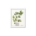 Picture of Golden Greens I _GroupedProduct_Rectangle_Portrait_Framed_Matted_