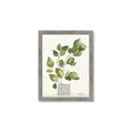 Picture of Golden Greens I _GroupedProduct_Rectangle_Portrait_Framed_Matted_