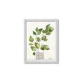 Picture of Golden Greens I _GroupedProduct_Rectangle_Portrait_Framed_Matted_
