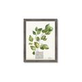 Picture of Golden Greens I _GroupedProduct_Rectangle_Portrait_Framed_Matted_