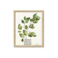 Picture of Golden Greens I _GroupedProduct_Rectangle_Portrait_Framed_Matted_