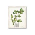 Picture of Golden Greens I _GroupedProduct_Rectangle_Portrait_Framed_Matted_