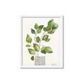 Picture of Golden Greens I _GroupedProduct_Rectangle_Portrait_Framed_Matted_
