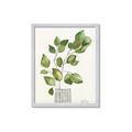 Picture of Golden Greens I _GroupedProduct_Rectangle_Portrait_Framed_Matted_