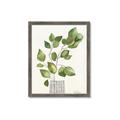 Picture of Golden Greens I _GroupedProduct_Rectangle_Portrait_Framed_Matted_