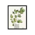 Picture of Golden Greens I _GroupedProduct_Rectangle_Portrait_Framed_Matted_