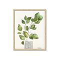 Picture of Golden Greens I _GroupedProduct_Rectangle_Portrait_Framed_Matted_