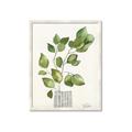 Picture of Golden Greens I _GroupedProduct_Rectangle_Portrait_Framed_Matted_