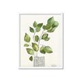 Picture of Golden Greens I _GroupedProduct_Rectangle_Portrait_Framed_Matted_