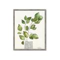 Picture of Golden Greens I _GroupedProduct_Rectangle_Portrait_Framed_Matted_